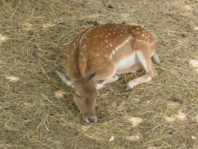 Прикрепленное изображение: IMG_1563.JPG